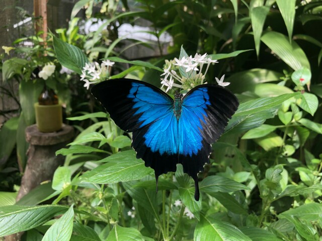 f:id:mayumil:20180422162651j:image