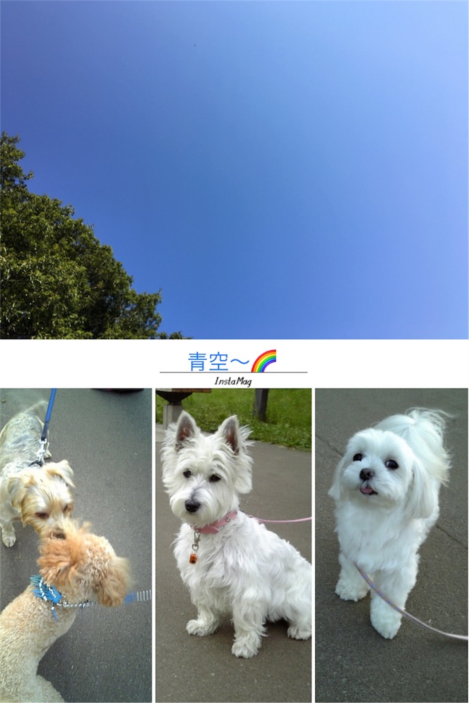 f:id:mayumim2:20171106102044j:image f:id:mayumim2:20171106102044j:image