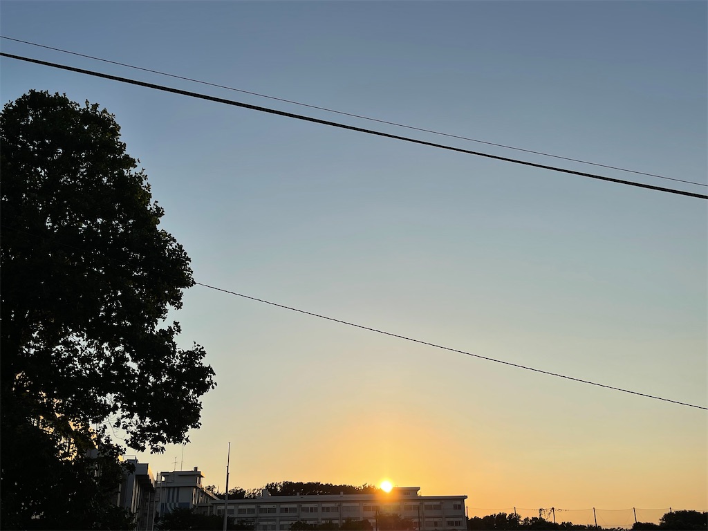 f:id:mayumim2:20260821201902j:image f:id:mayumim2:20260821201902j:image
