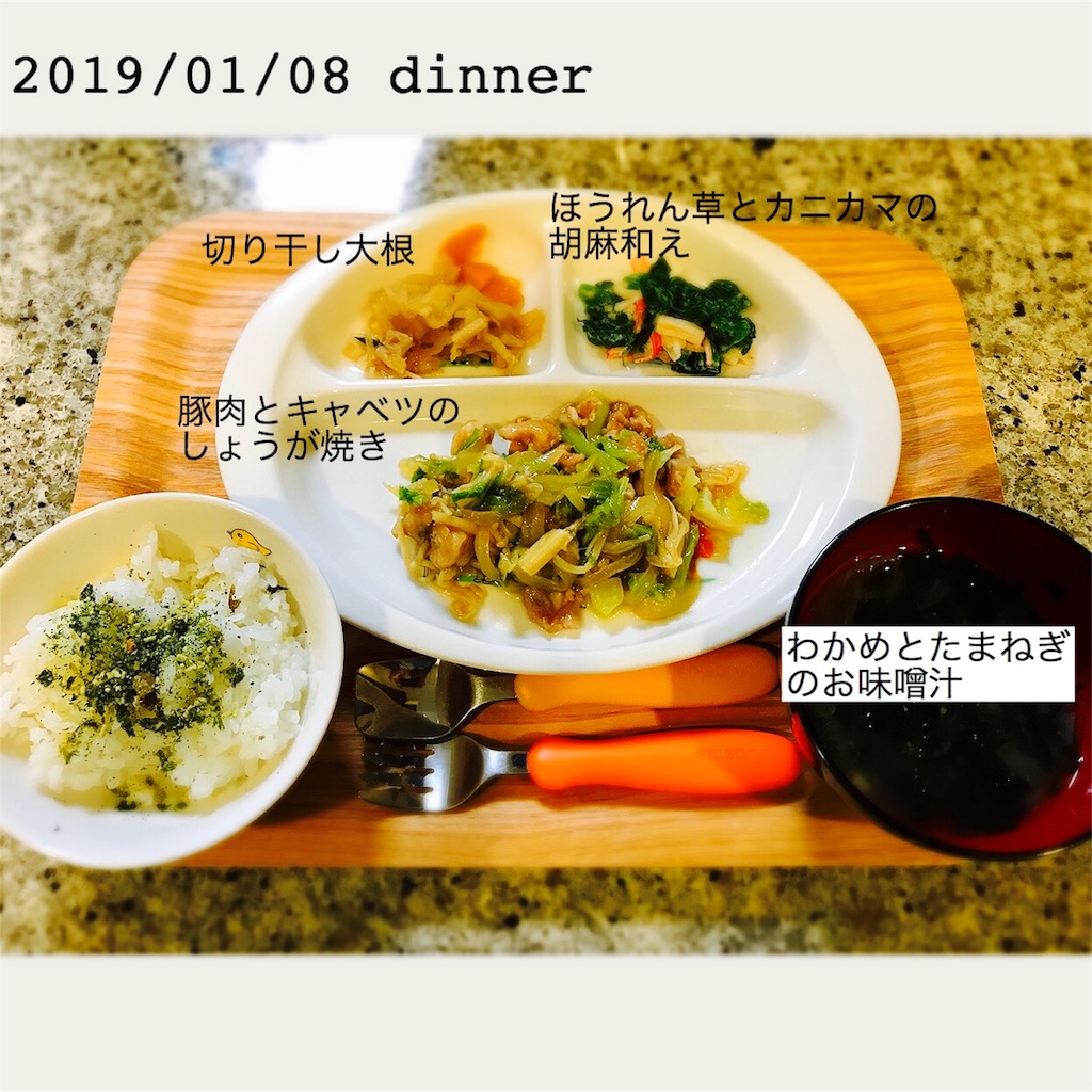 f:id:mayuminnieee:20190112115610j:image