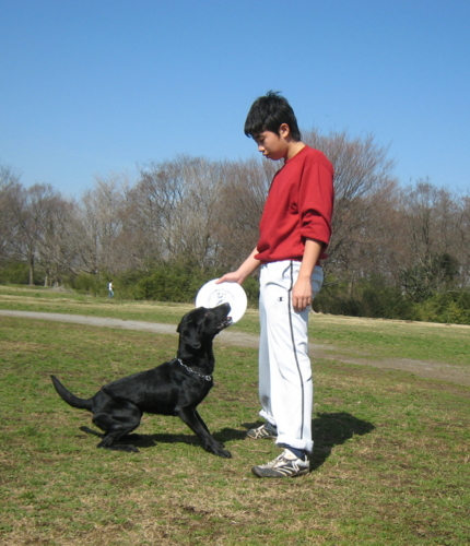 f:id:mayuponn0720:20100323123550j:image f:id:mayuponn0720:20100323123550j:image