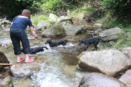f:id:mayuponn0720:20100811211040j:image