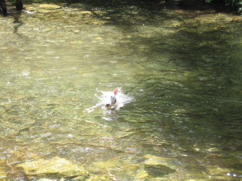 f:id:mayuponn0720:20100811213719j:image