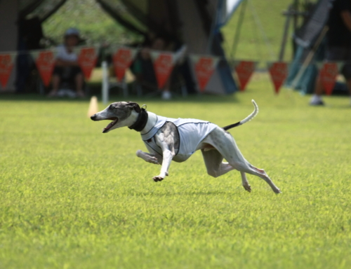f:id:mayuponn0720:20100824152757j:image
