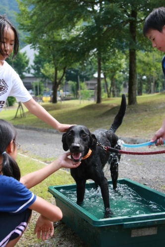 f:id:mayuponn0720:20100824154441j:image