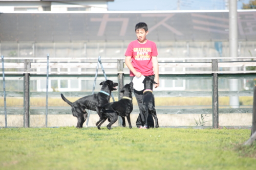 f:id:mayuponn0720:20101120072233j:image