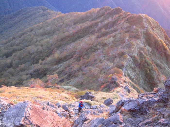 f:id:mayuponn0720:20131014061359j:image