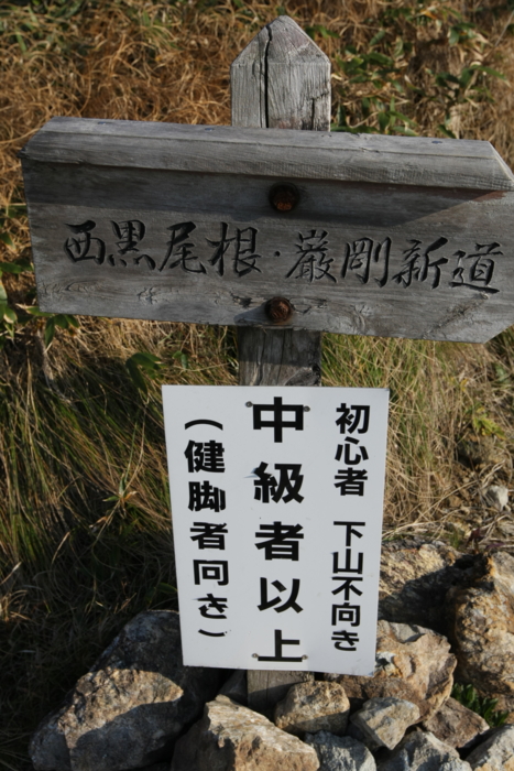 f:id:mayuponn0720:20131014073208j:image