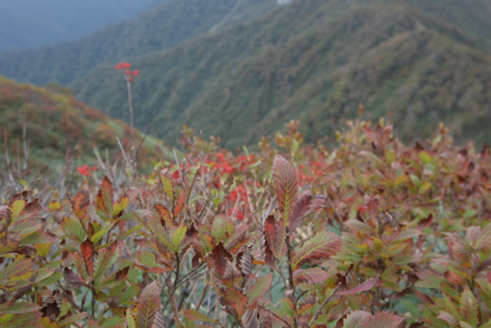 f:id:mayuponn0720:20131014101245j:image