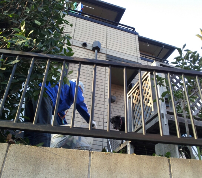 f:id:mayuponn0720:20131028184920j:image