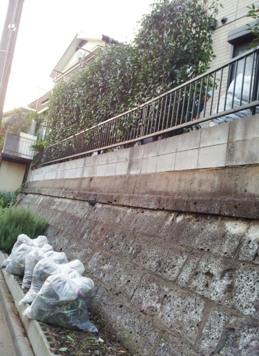 f:id:mayuponn0720:20131028184922j:image