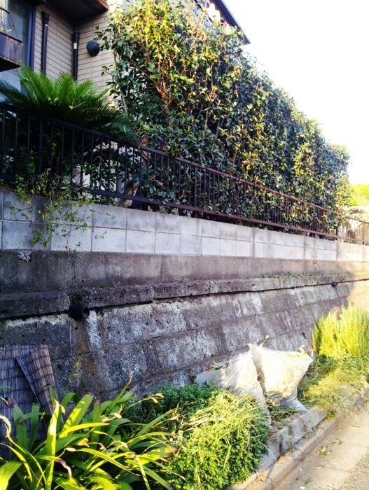 f:id:mayuponn0720:20131028184929j:image