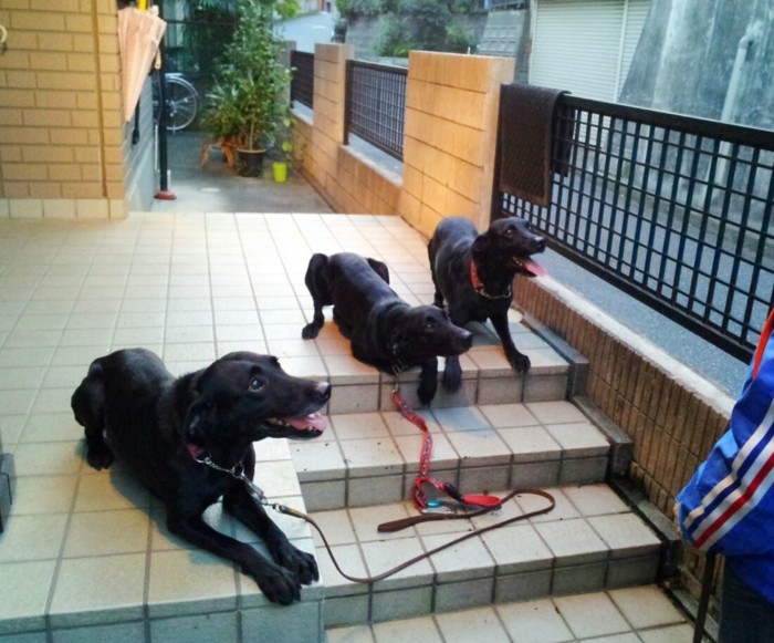 f:id:mayuponn0720:20131028185156j:image