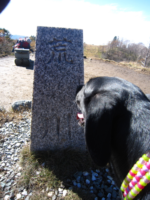 f:id:mayuponn0720:20131030104058j:image
