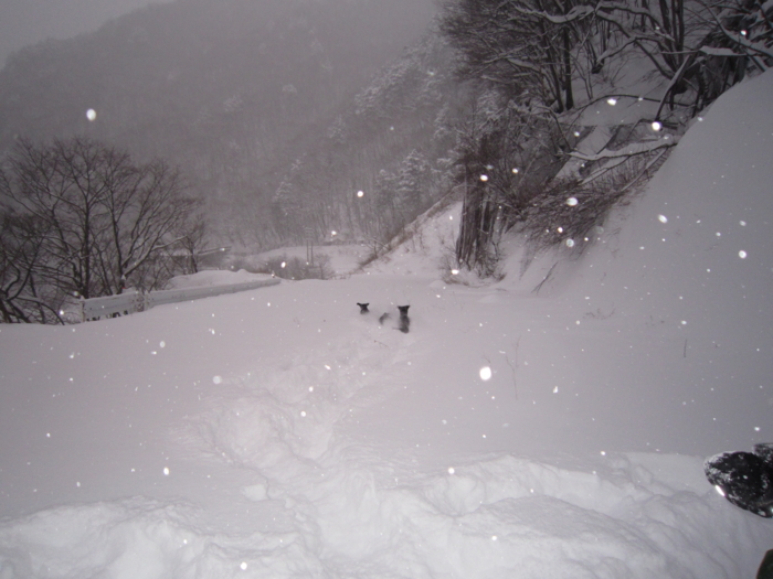 f:id:mayuponn0720:20140208171802j:image f:id:mayuponn0720:20140208171802j:image