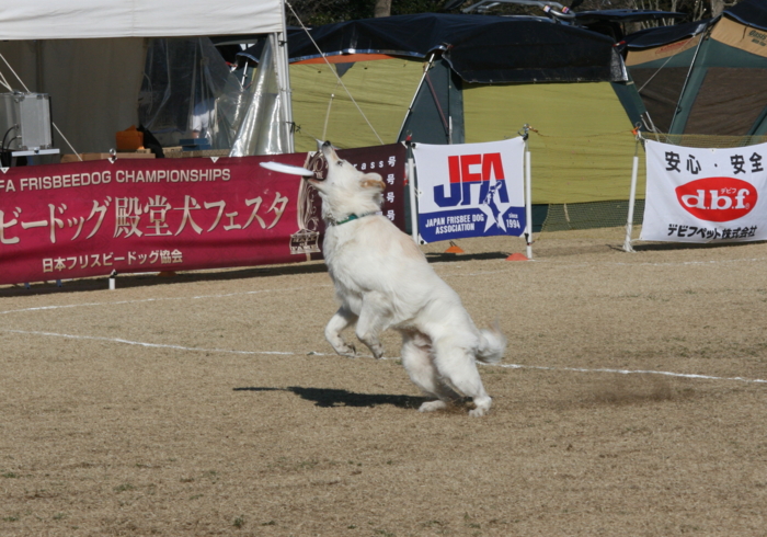 f:id:mayuponn0720:20140323083443j:image f:id:mayuponn0720:20140323083443j:image