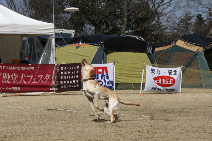 f:id:mayuponn0720:20140323094347j:image f:id:mayuponn0720:20140323094347j:image