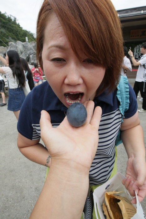 f:id:mayuponn0720:20140808103103j:image f:id:mayuponn0720:20140808103103j:image