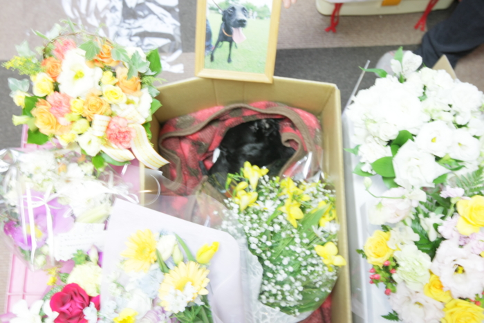f:id:mayuponn0720:20141228155801j:image f:id:mayuponn0720:20141228155801j:image