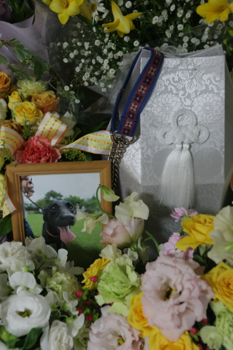 f:id:mayuponn0720:20141230162535j:image f:id:mayuponn0720:20141230162535j:image