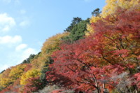 f:id:mayuppe:20101121115702j:image