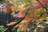 f:id:mayuppe:20101121123249j:image