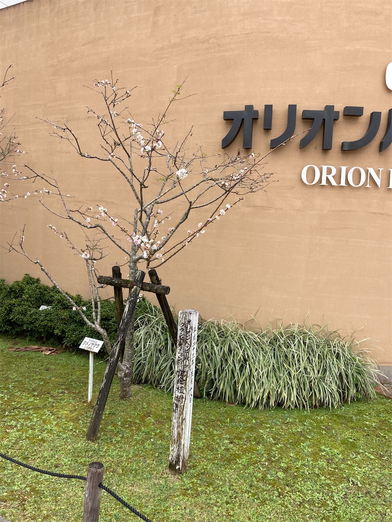 f:id:mayuqol:20210312132645j:image