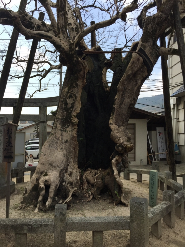 f:id:mayurin2018:20180313112040j:plain f:id:mayurin2018:20180313112040j:plain