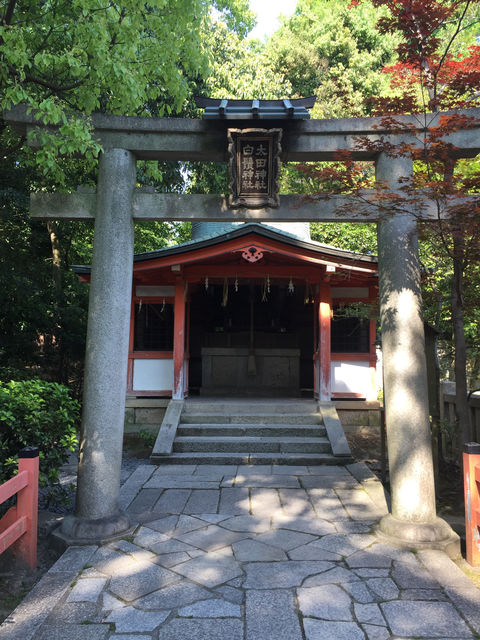 f:id:mayurin2018:20180325133741j:plain