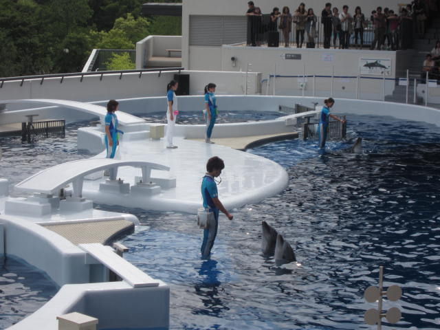 f:id:mayurin2018:20180325133933j:plain