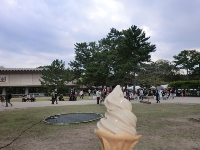 f:id:mayurin2018:20180325161807j:plain f:id:mayurin2018:20180325161807j:plain