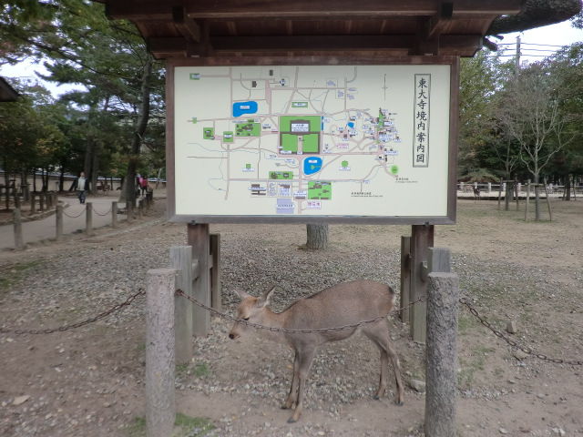 f:id:mayurin2018:20180325162002j:plain f:id:mayurin2018:20180325162002j:plain