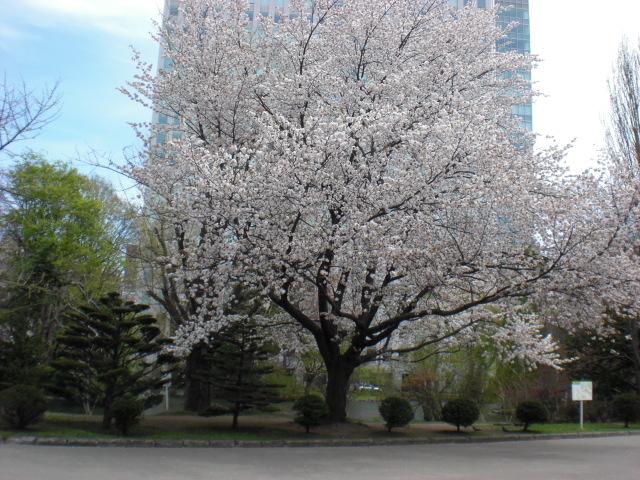 f:id:mayurin2018:20180327105401j:plain