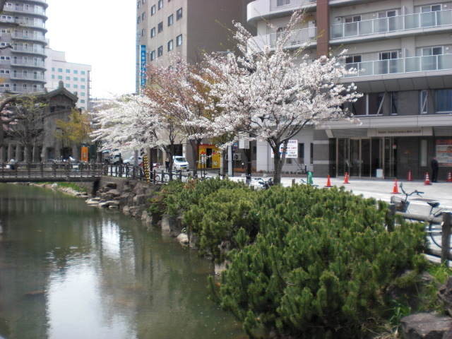 f:id:mayurin2018:20180327105418j:plain