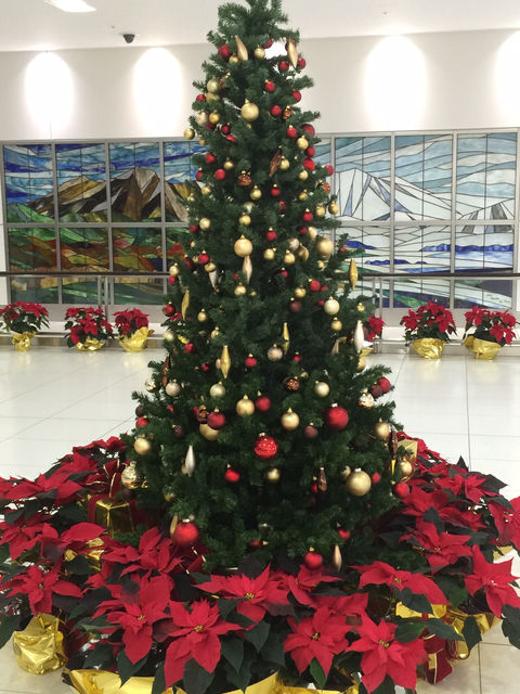 f:id:mayurin2018:20180330155433j:plain