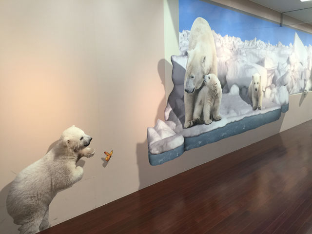 f:id:mayurin2018:20180330160454j:plain