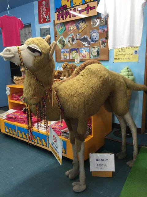 22年夏休みやお盆休みは 鳥取砂丘砂の美術館で決まり まゆまゆぱーてぃー