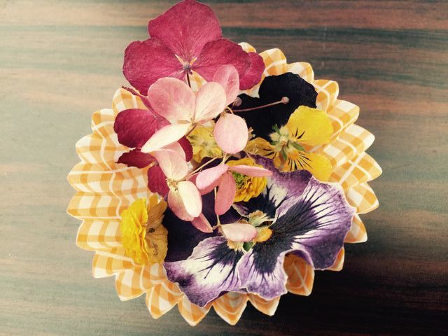 f:id:mayurin2018:20180405234728j:plain f:id:mayurin2018:20180405234728j:plain