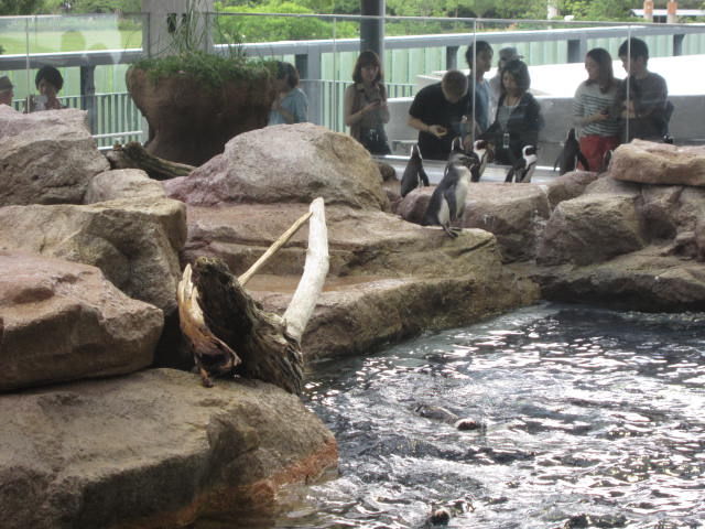 f:id:mayurin2018:20180422164329j:plain