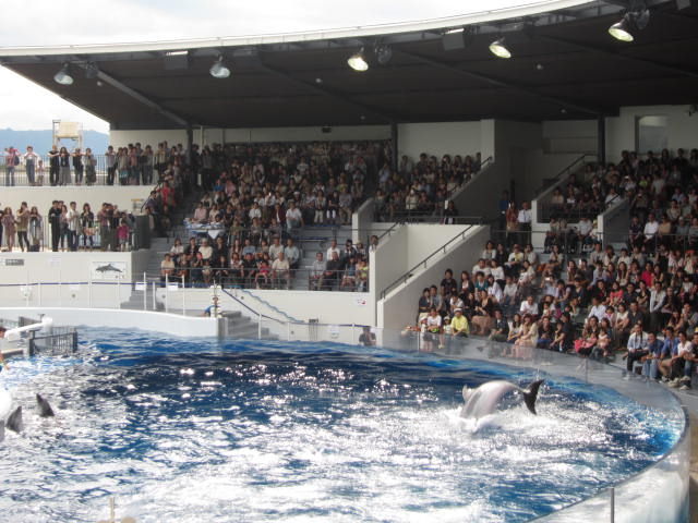 f:id:mayurin2018:20180422164422j:plain