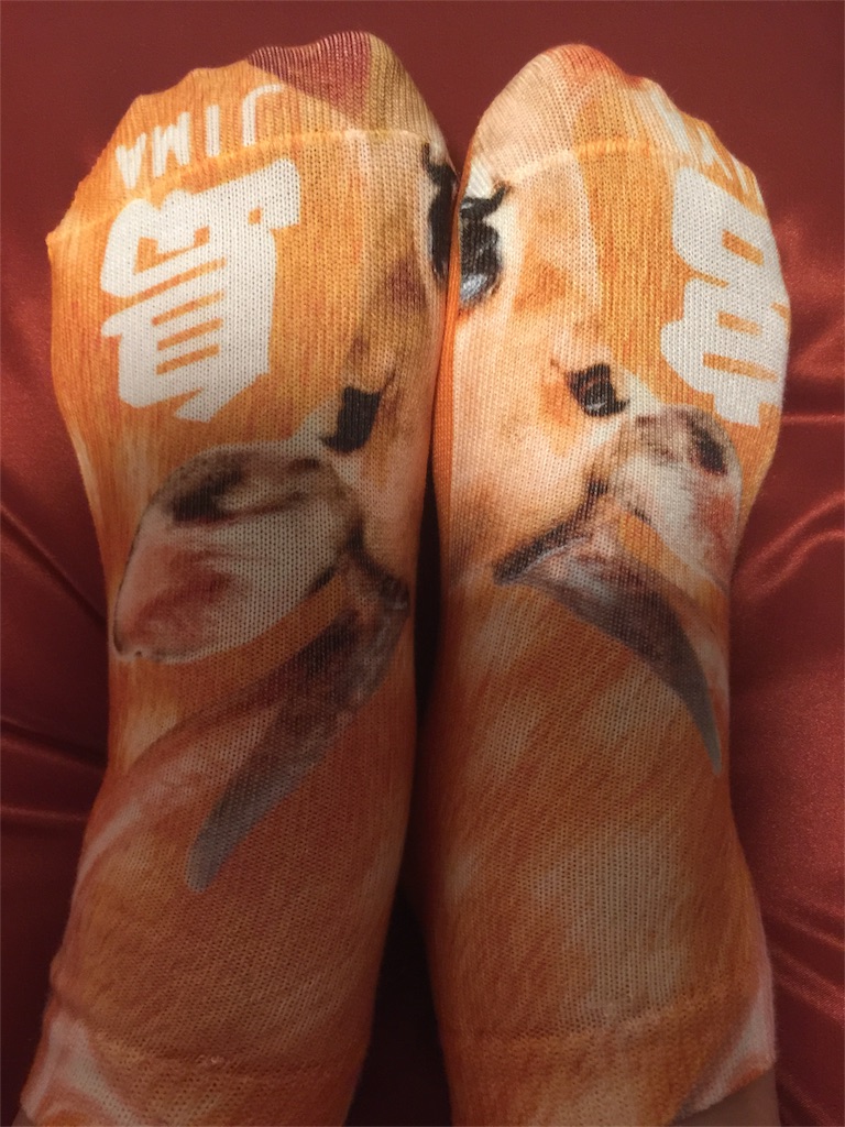 f:id:mayurin2018:20180430055920j:image f:id:mayurin2018:20180430055920j:image