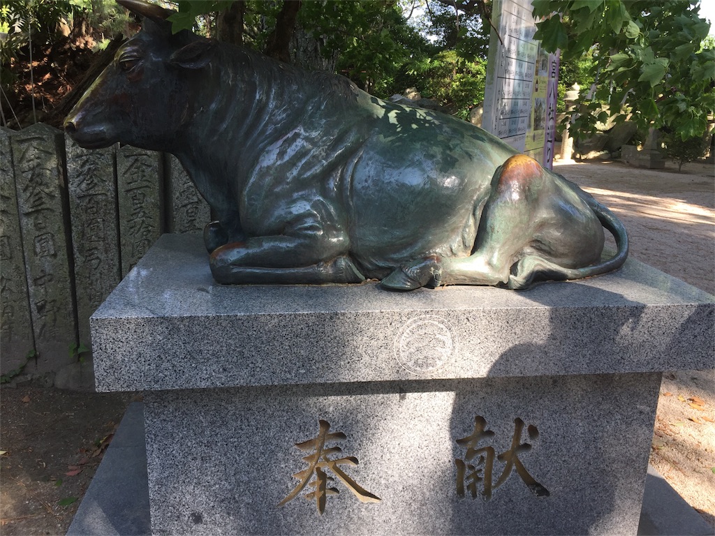 f:id:mayurin2018:20180505003337j:image f:id:mayurin2018:20180505003337j:image