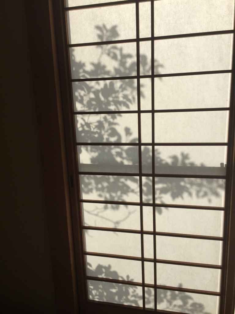 f:id:mayurin2018:20180505072404j:plain