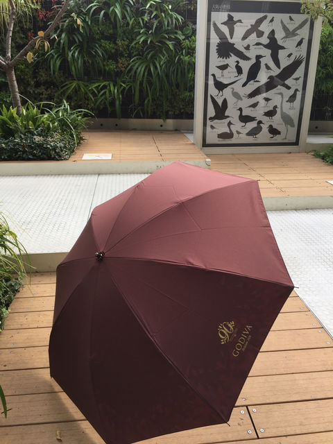 f:id:mayurin2018:20180514234433j:plain