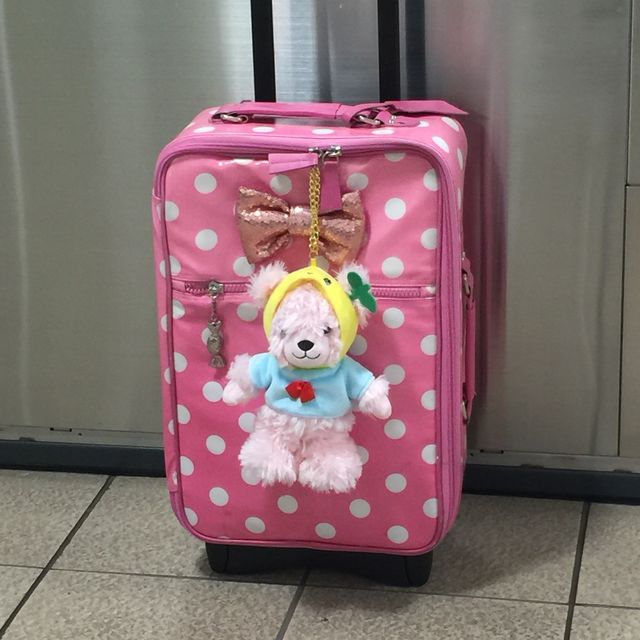 f:id:mayurin2018:20180516145117j:plain