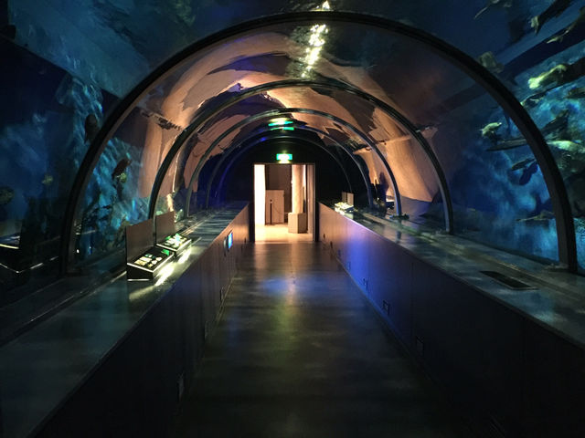 f:id:mayurin2018:20180602114923j:plain