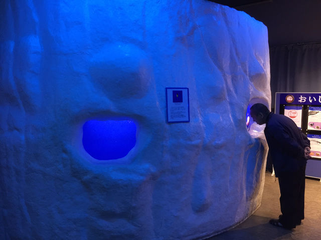 f:id:mayurin2018:20180602115028j:plain