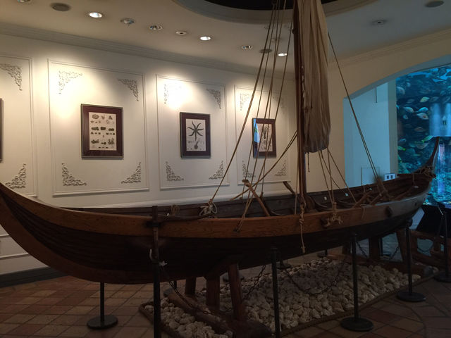 f:id:mayurin2018:20180602115046j:plain