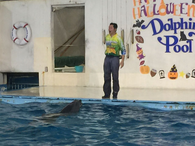 f:id:mayurin2018:20180602120523j:plain