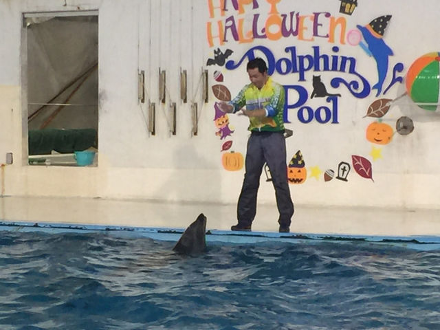 f:id:mayurin2018:20180602120540j:plain